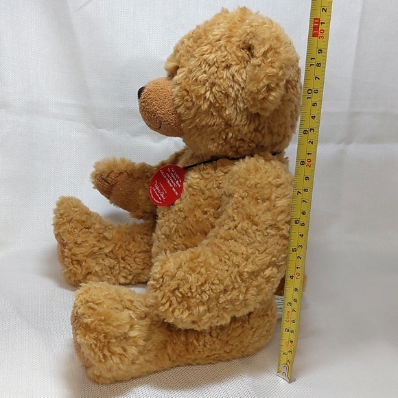 Build-A-Bear Centennial CollectibearLimitedEdition - Picture 11 of 12